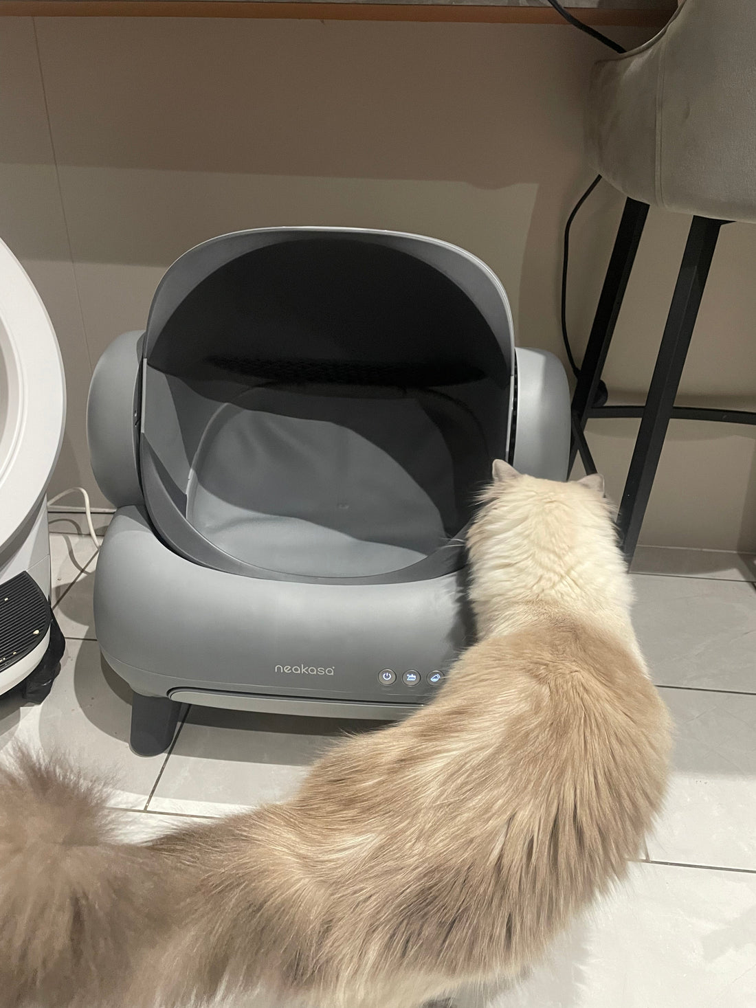 NEAKASA M1 OPEN TOP SELF-CLEANING LITTER TRAY REVIEW