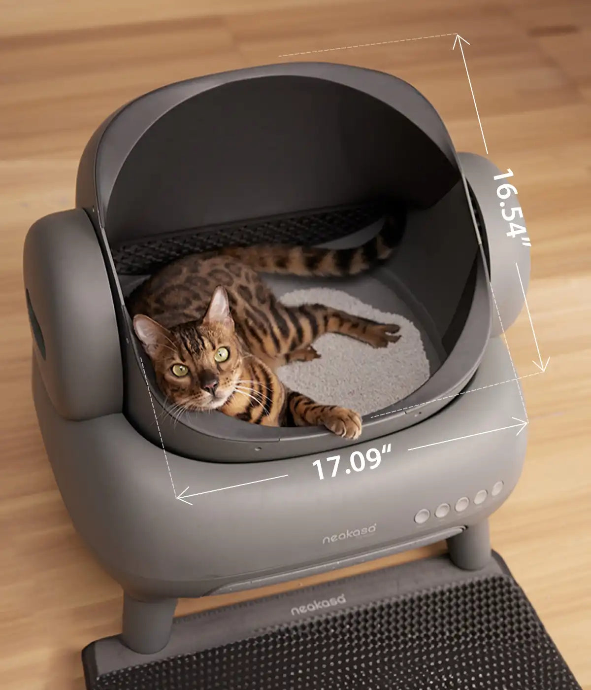 No touch cat litter box best sale